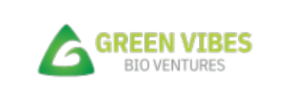 cropped-GV_business_logo__1_.pdf-removebg-preview-1.png